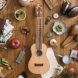 島村楽器 COTONE カタログ